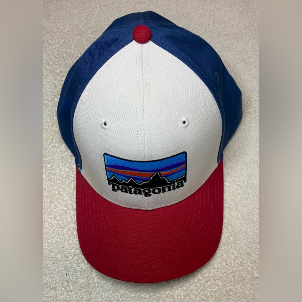 Patagonia Logo Hat